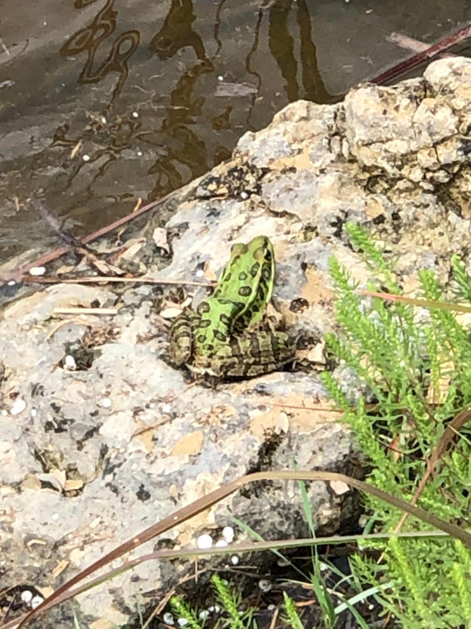 Fishers Of Men Ranch Home Marble Falls Esterno foto