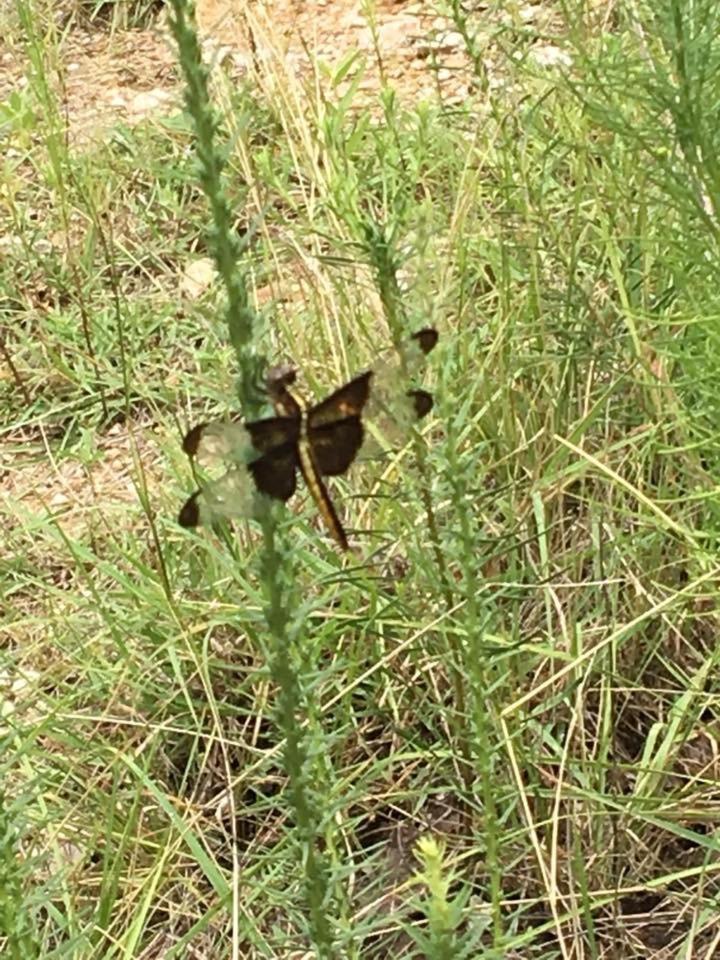 Fishers Of Men Ranch Home Marble Falls Esterno foto
