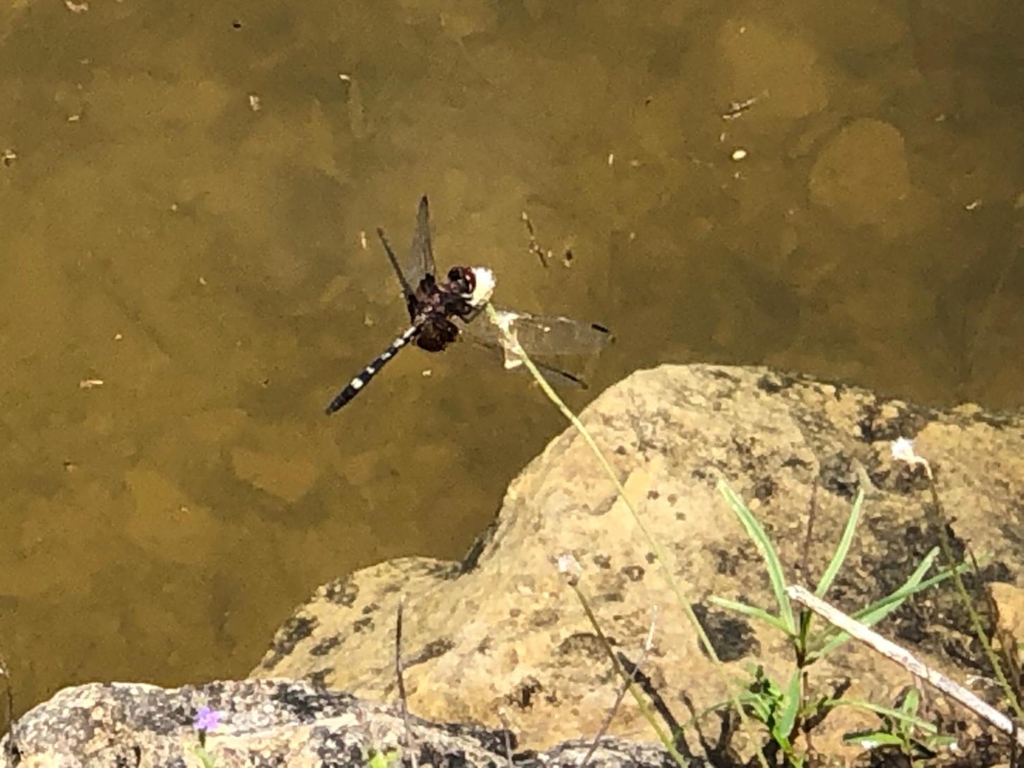 Fishers Of Men Ranch Home Marble Falls Esterno foto