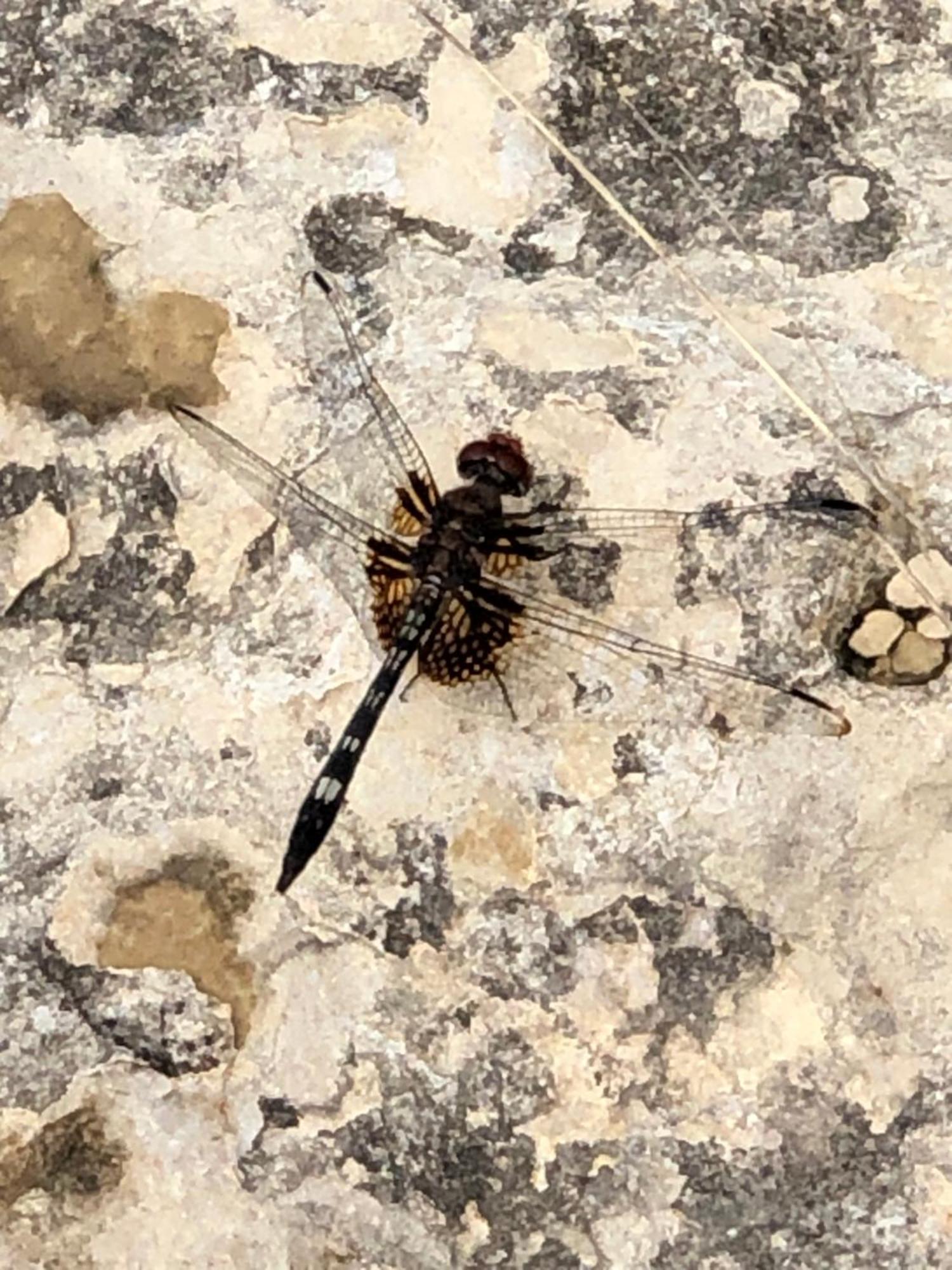 Fishers Of Men Ranch Home Marble Falls Esterno foto
