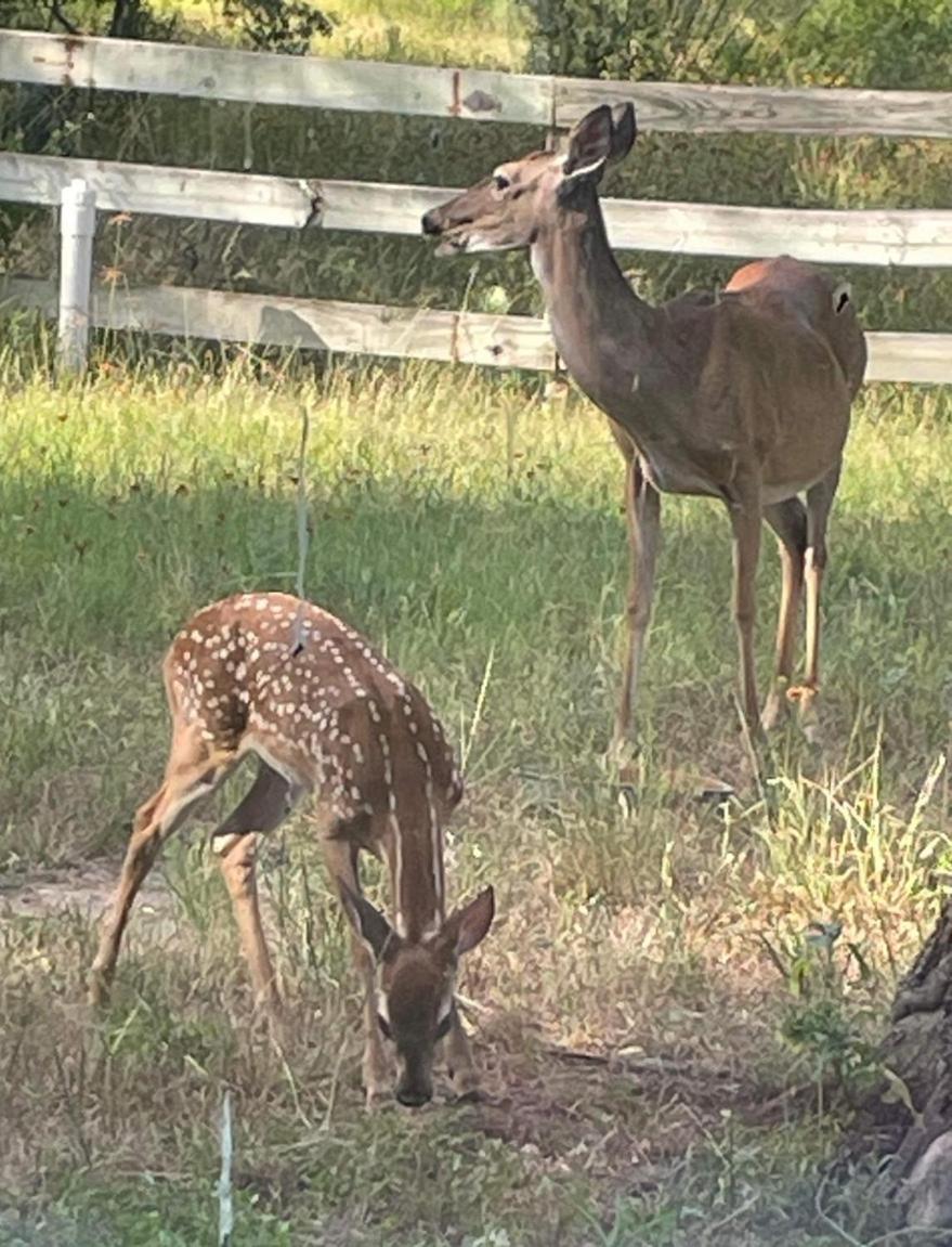 Fishers Of Men Ranch Home Marble Falls Esterno foto