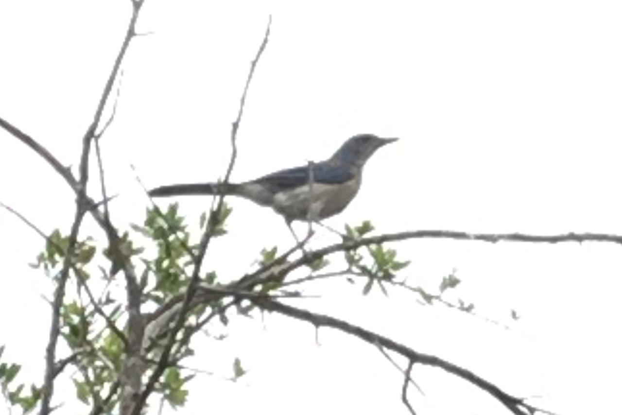 Fishers Of Men Ranch Home Marble Falls Esterno foto